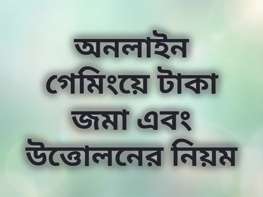 পেমেন্ট গাইড
